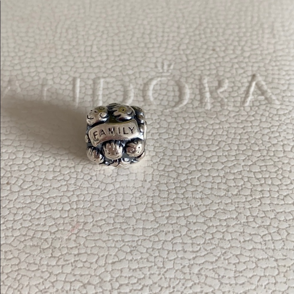 Pandora Charm